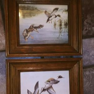 Vintage Framed Duck Prints